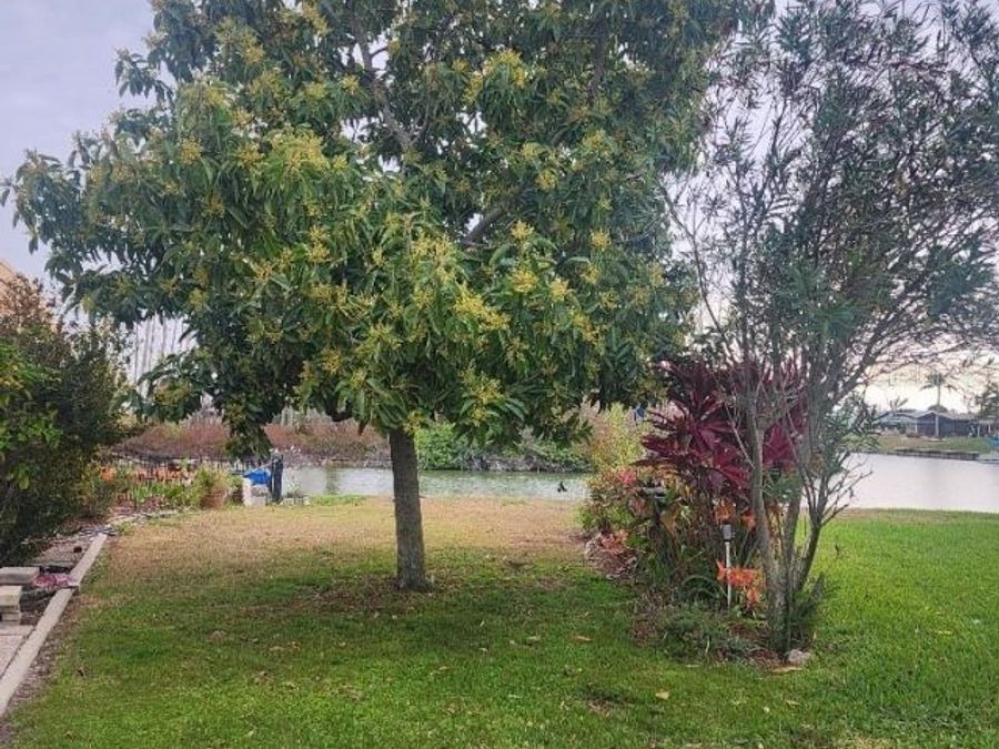 Property Image 56