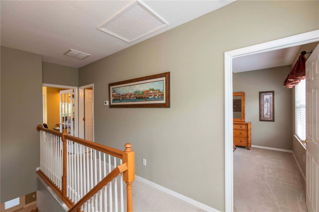 3746 Dogtrot Street , New Port Richey, FL 34655 Photo