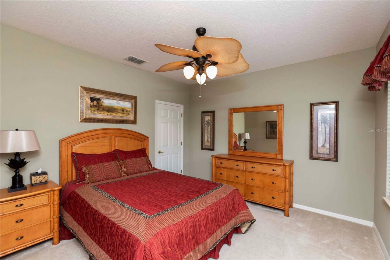 3746 Dogtrot Street , New Port Richey, FL 34655 Photo