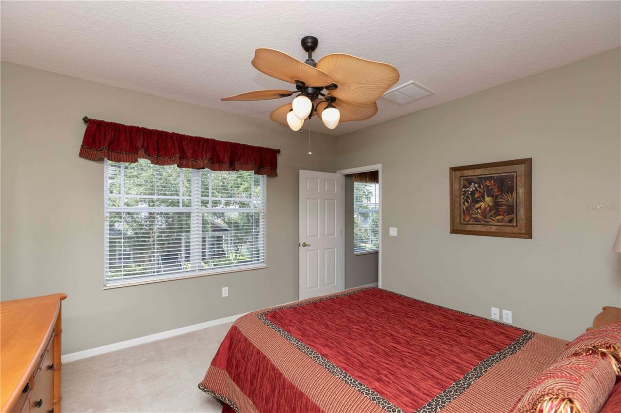 3746 Dogtrot Street , New Port Richey, FL 34655 Photo
