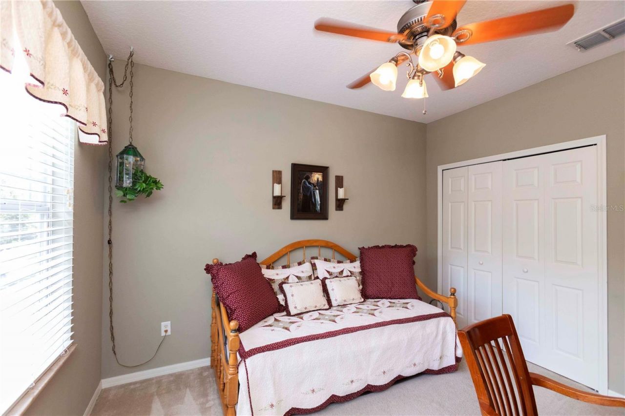 3746 Dogtrot Street , New Port Richey, FL 34655 Photo