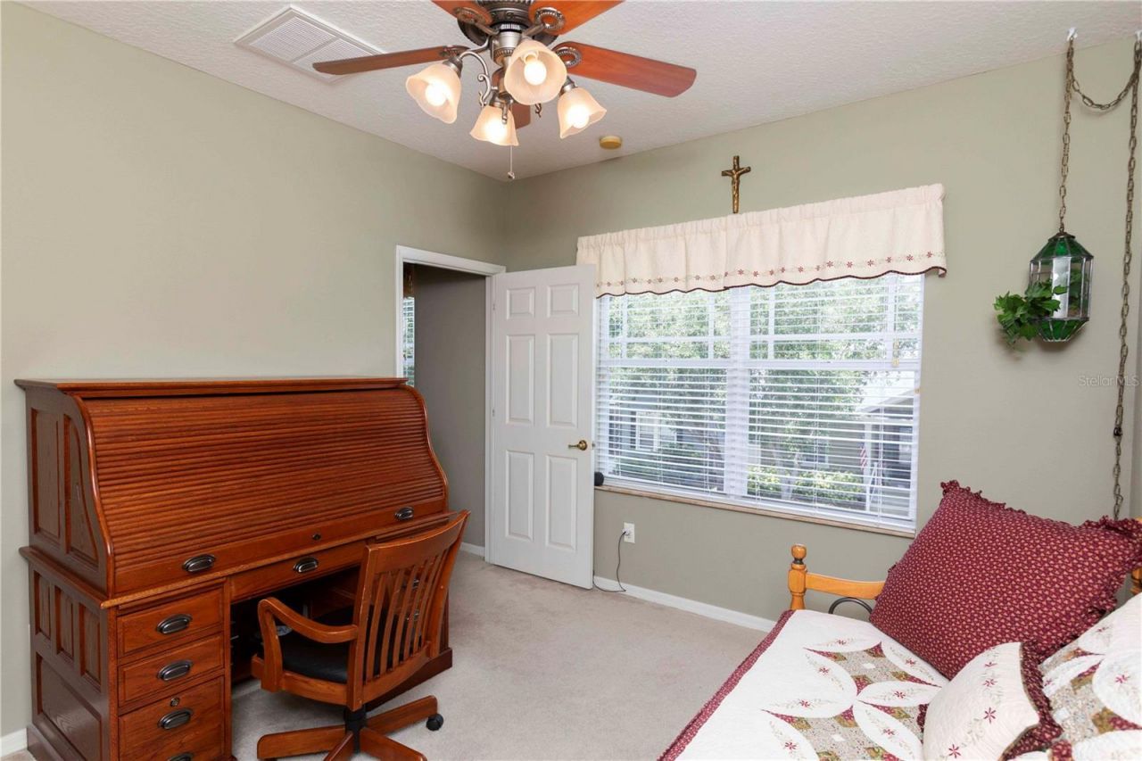3746 Dogtrot Street , New Port Richey, FL 34655 Photo