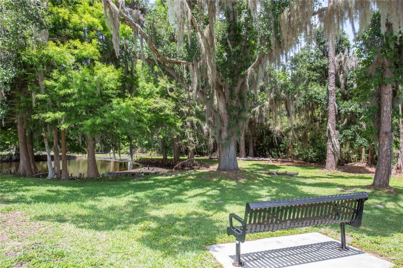 3746 Dogtrot Street , New Port Richey, FL 34655 Photo