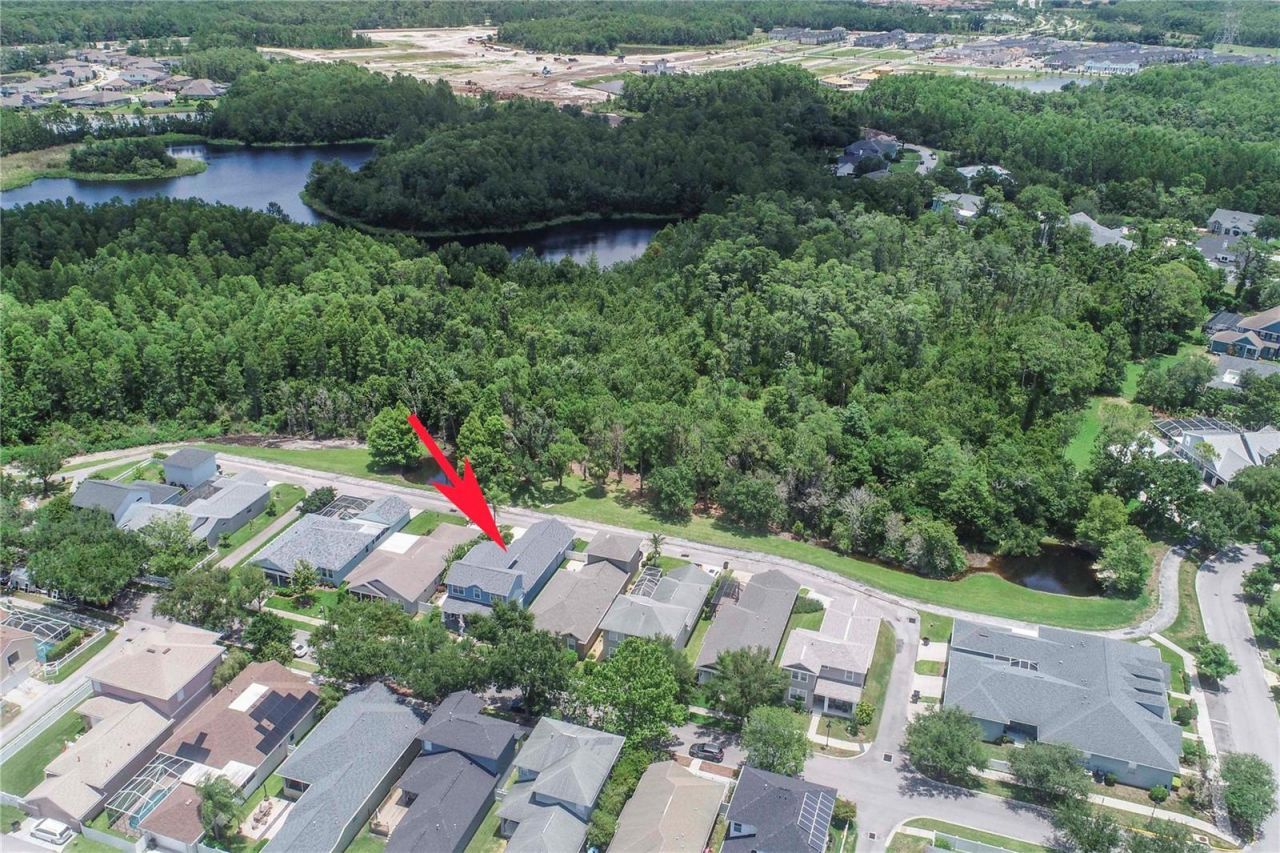 3746 Dogtrot Street , New Port Richey, FL 34655 Photo