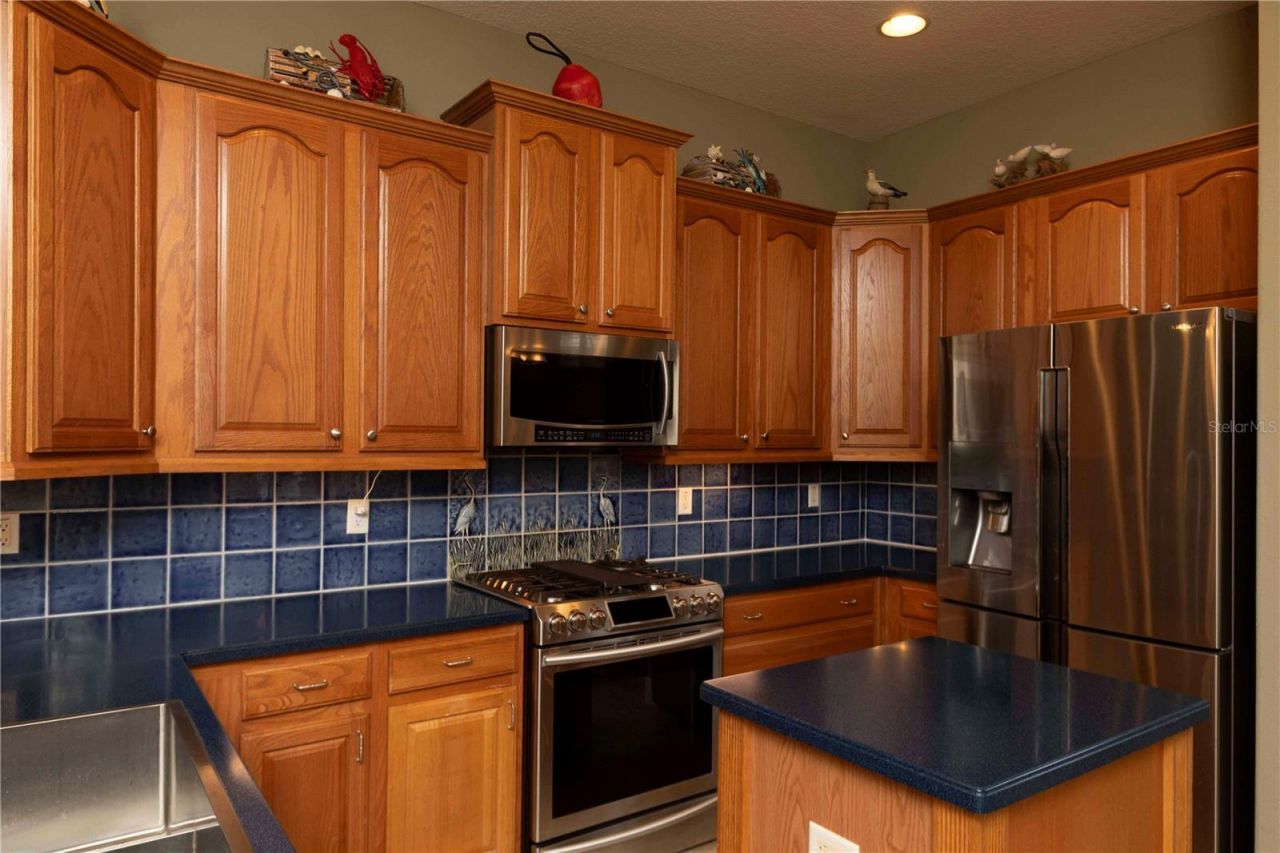 3746 Dogtrot Street , New Port Richey, FL 34655 Photo