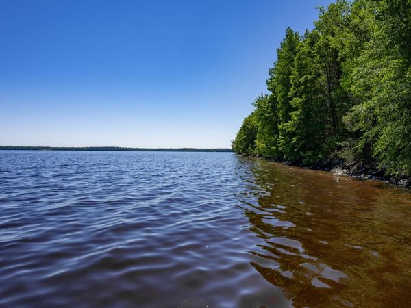 N14672 Porter Road, Nekoosa, WI 54457