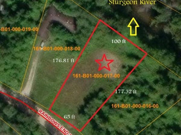 4229 Rainbow End Trail, Indian River, MI 49749