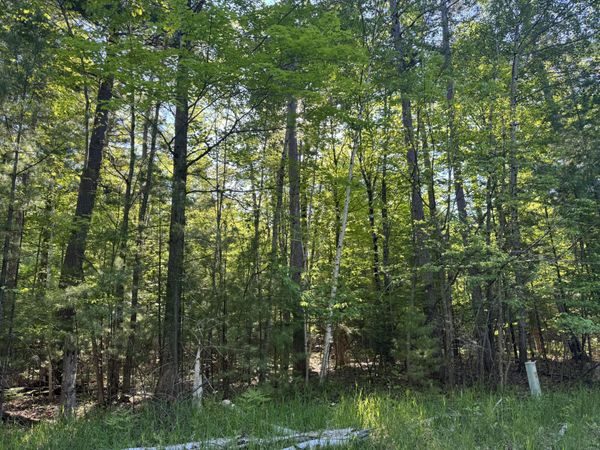 6310 Link Boulevard, Indian River, MI 49749
