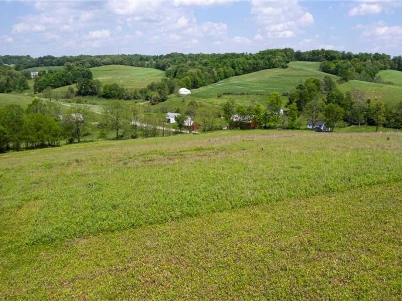 County Road 126 , Millersburg, OH 43805 Photo 11