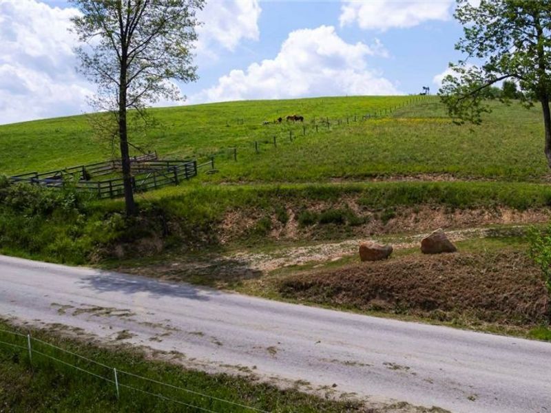 County Road 126 , Millersburg, OH 43805 Photo 15