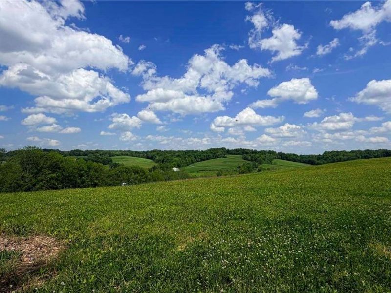 County Road 126 , Millersburg, OH 43805 Photo 2