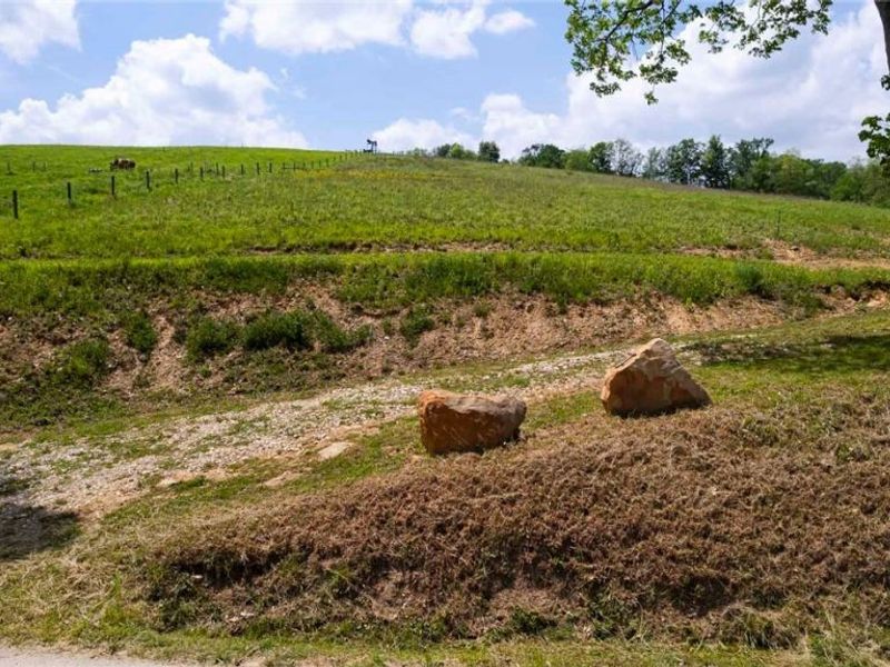 County Road 126 , Millersburg, OH 43805 Photo 6