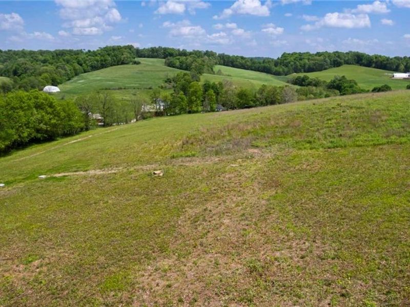County Road 126 , Millersburg, OH 43805 Photo 9