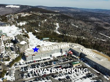 343 Mountain Lodge, Snowshoe, WV 26209