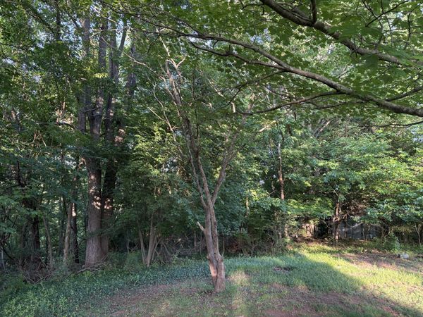 1130 Stephens (Lot) ST , Martinsville, VA 24112