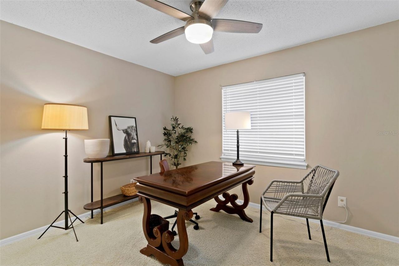4863 W Flamingo Road , Unit 2, Tampa, FL 33611 Photo