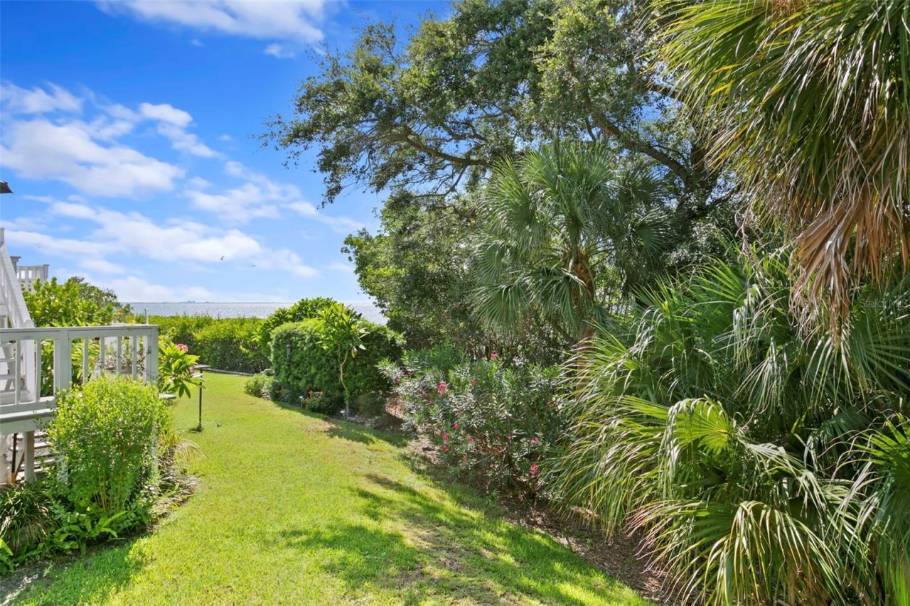 4863 W Flamingo Road , Unit 2, Tampa, FL 33611 Photo