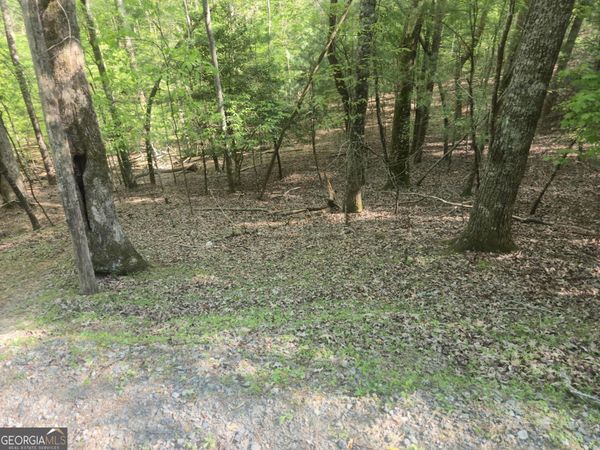 0 Hart Court, Ellijay, GA 30540