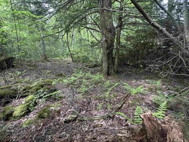 Lot 7 Tuscan Ridge Road, Davis, WV 26260