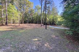 310 Douglas Road photo 4
