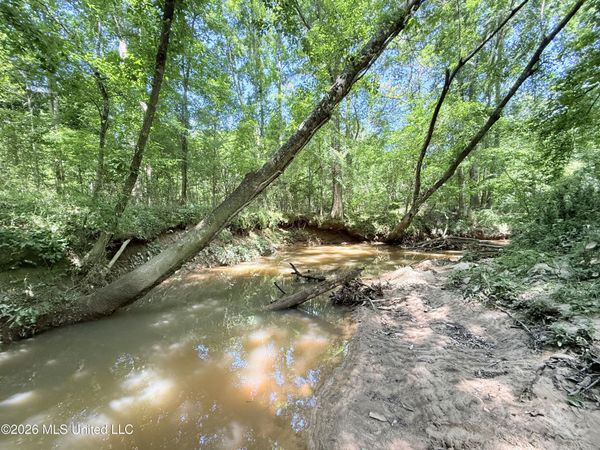 Jackson Liberty Drive, Smithdale, MS 39664