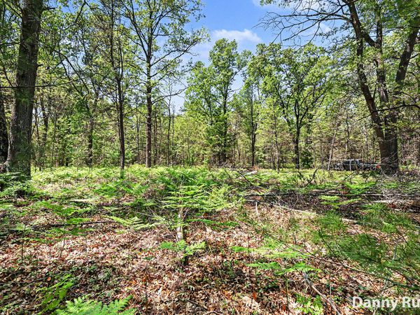 Vacant Land, Twin Lake, MI 49457