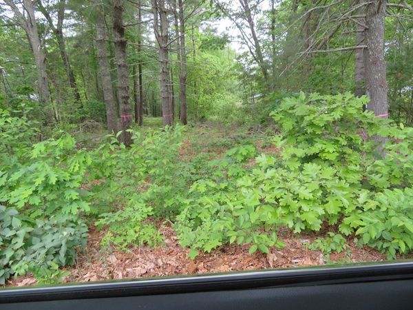 0 Burt Street, Norton, MA 02766