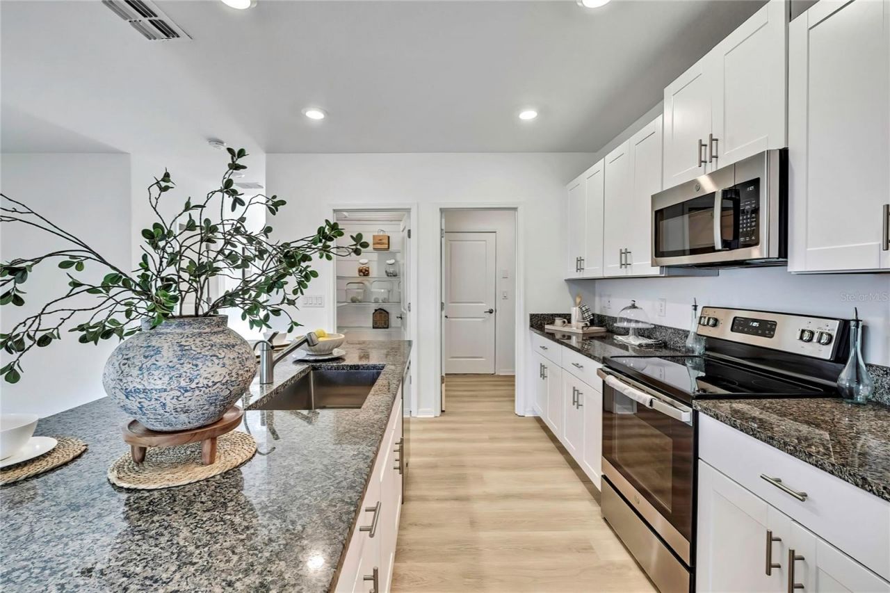 9937 Aqua Miles Path , Wesley Chapel, FL 33545 Photo