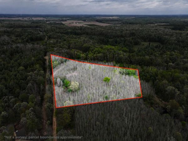 V/L 6.62A W Jefferson Road, Hart, MI 49420