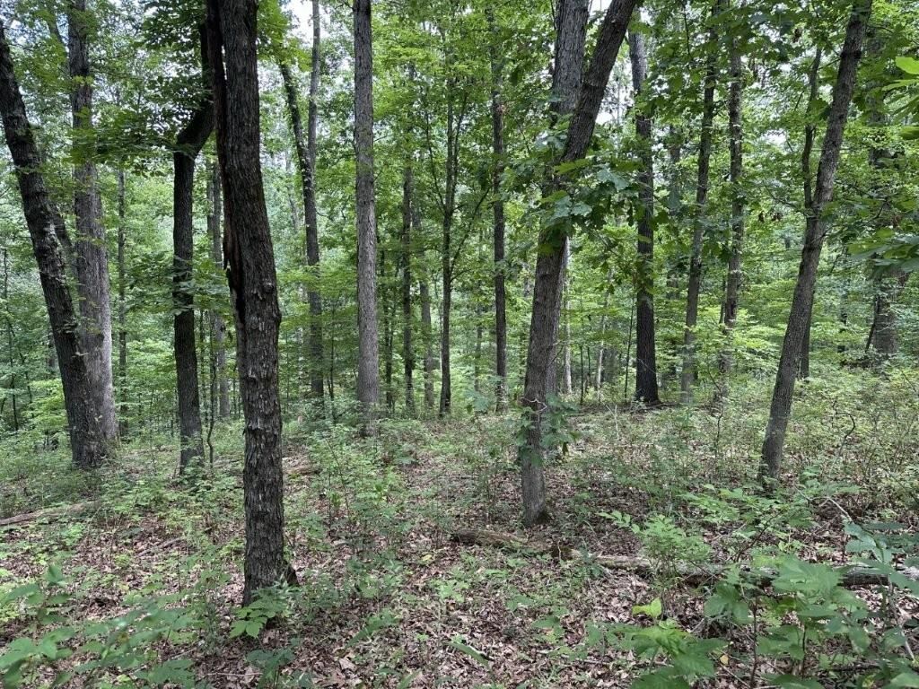 Lot 7 Eccleston Lane , Bella Vista, AR 72714 Main Photo