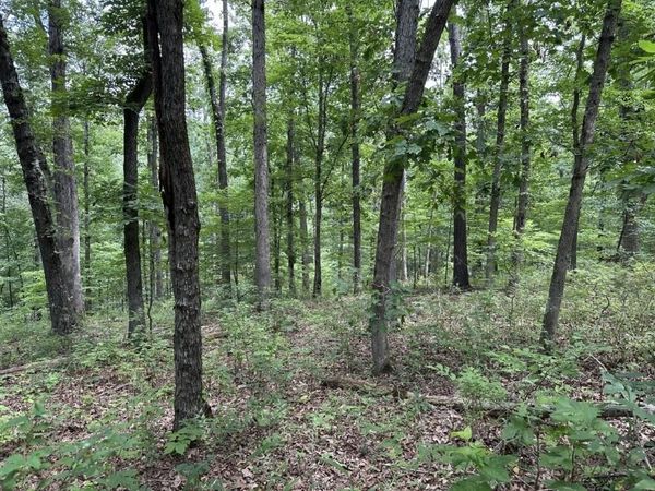 Lot 7 Eccleston Lane , Bella Vista, AR 72714