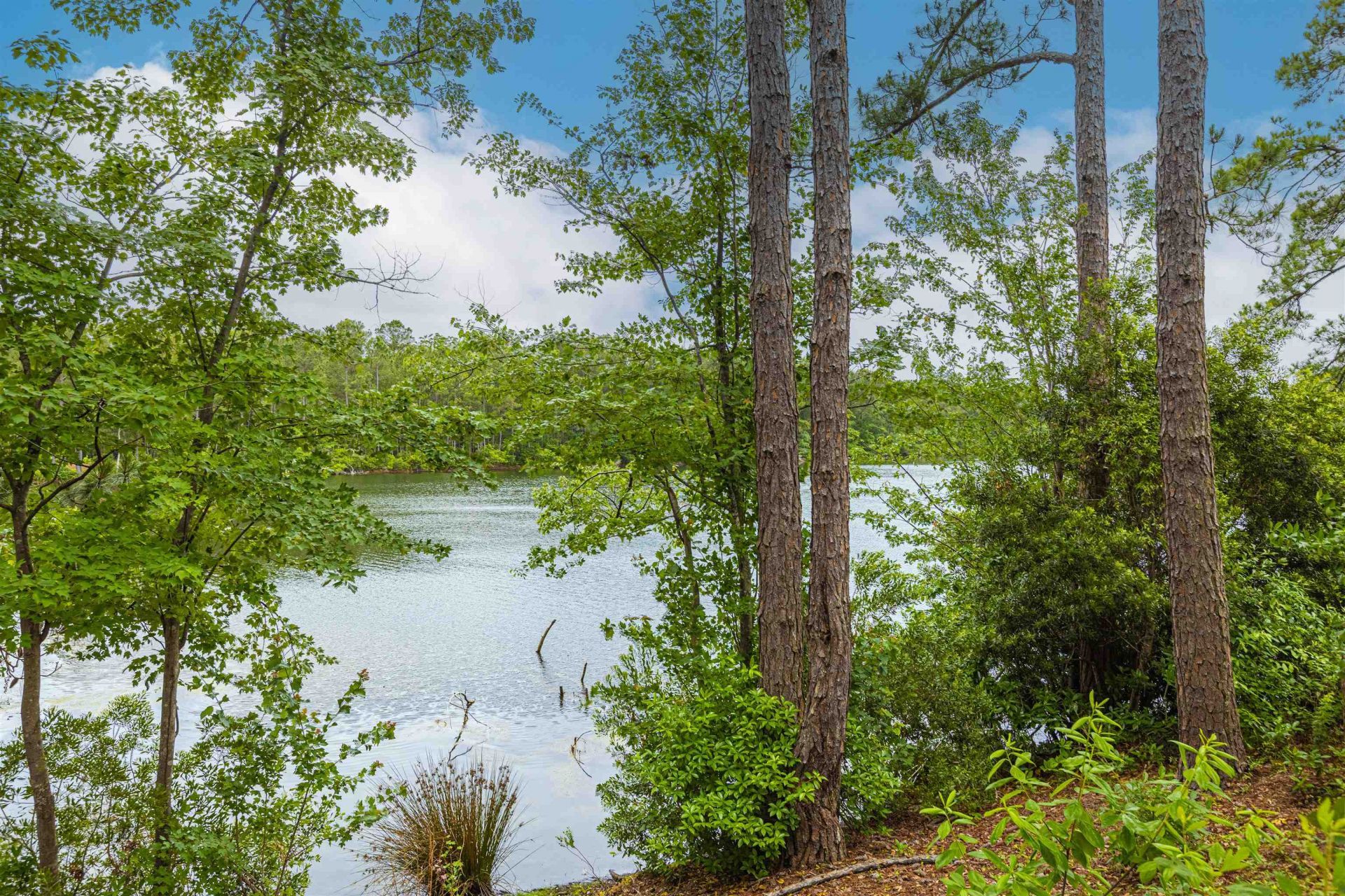 305 Long Meadow Dr.  Photo 25