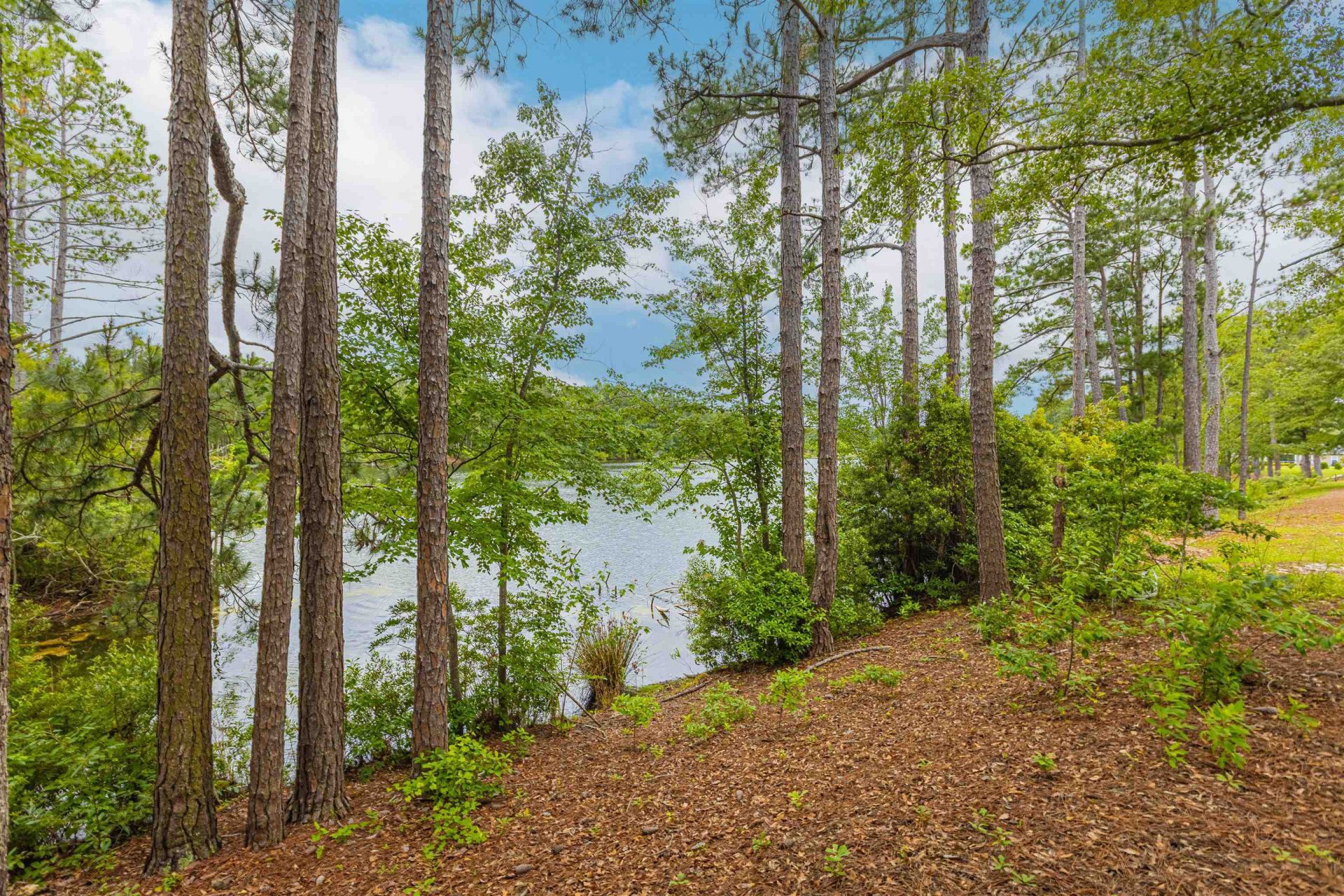 305 Long Meadow Dr.  Photo 26