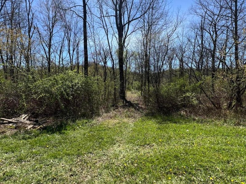 0 Kenton Road, Bellville, OH 44813 Photo 24