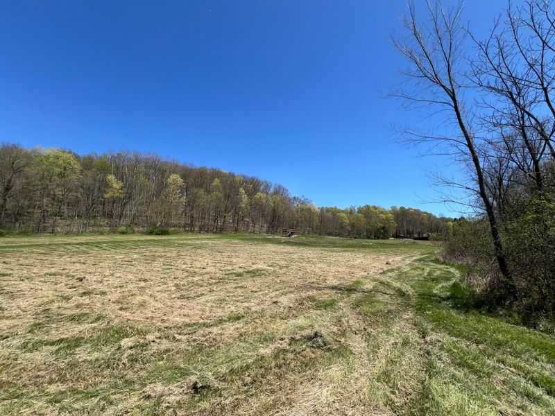 0 Kenton Road, Bellville, OH 44813 Photo 5