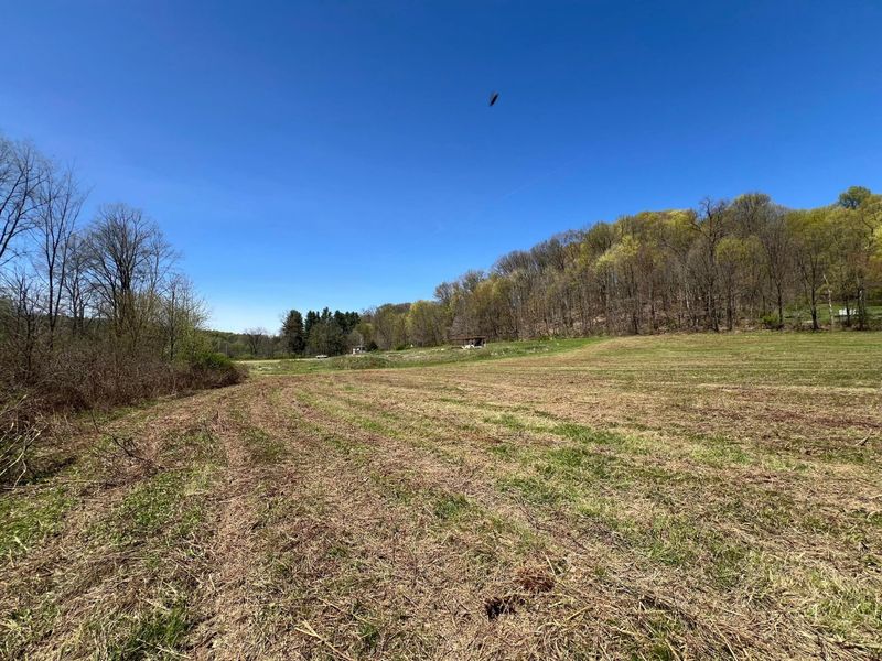0 Kenton Road, Bellville, OH 44813 Photo 8