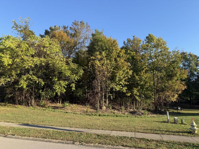 4895 Dartmouth Drive, Unit lot 101, Florence, KY 41042 Photo 2