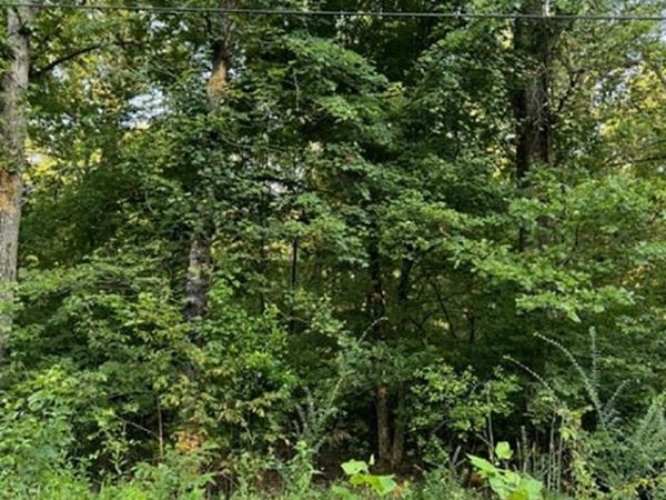 Woodland Hills Road , Hardy, AR 72542
