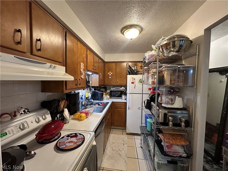 1422 E 264th Street, Euclid, OH 44132 Photo 8