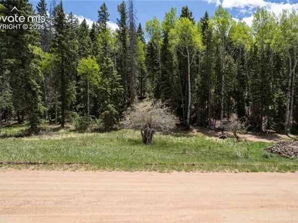 546 Spring Valley Lane, Florissant, CO 80816