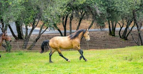 10 Acres Hollow Ln, Greenwood, CA 95635 Photo