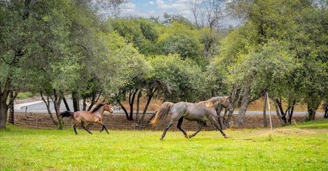10 Acres Hollow Ln, Greenwood, CA 95635 Photo