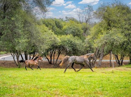 10 Acres Hollow Ln, Greenwood, CA 95635 Photo