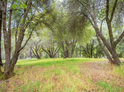 10 Acres Hollow Ln, Greenwood, CA 95635 Photo