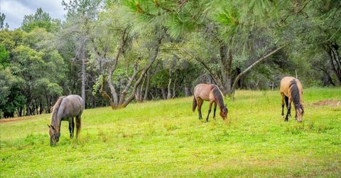 10 Acres Hollow Ln, Greenwood, CA 95635 Photo