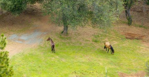 10 Acres Hollow Ln, Greenwood, CA 95635 Photo