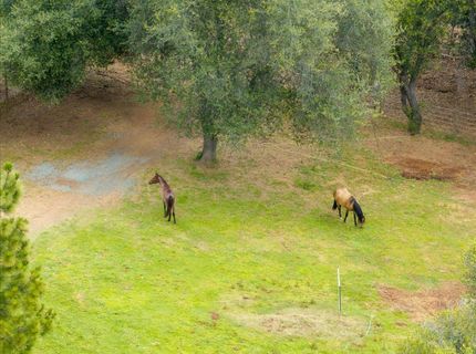 10 Acres Hollow Ln, Greenwood, CA 95635 Photo