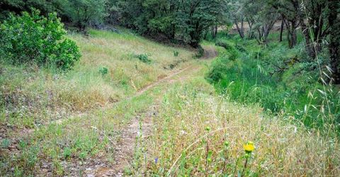10 Acres Hollow Ln, Greenwood, CA 95635 Photo