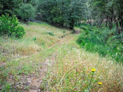 10 Acres Hollow Ln, Greenwood, CA 95635 Photo