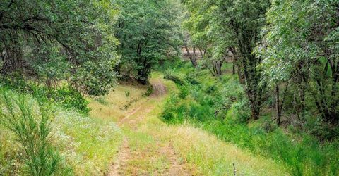 10 Acres Hollow Ln, Greenwood, CA 95635 Photo